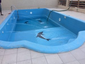 حمامات سباحة فيبر جلاس في الكويت